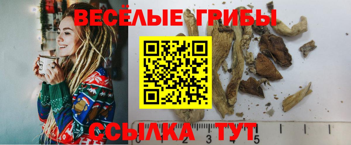 Егорьевск  Галлюциногенные грибы GOLDEN TEACHER  Вход с VPN  магазин  наркотиков  Псилоцибиновые грибы мицелий 